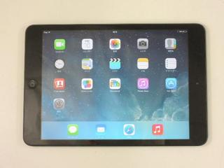 ipad mini md529.jpg